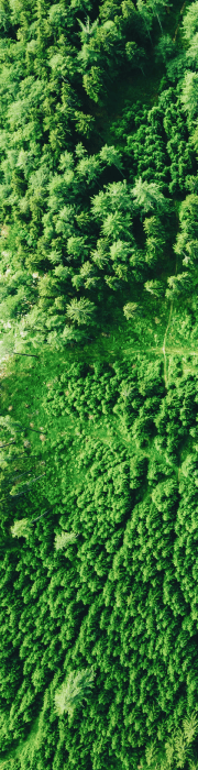 green environment image